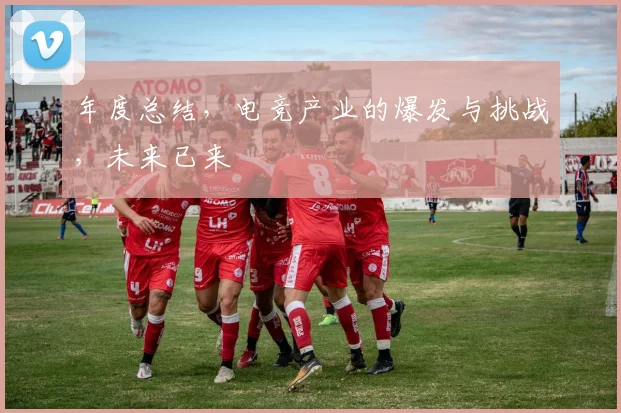年度总结，电竞产业的爆发与挑战，未来已来