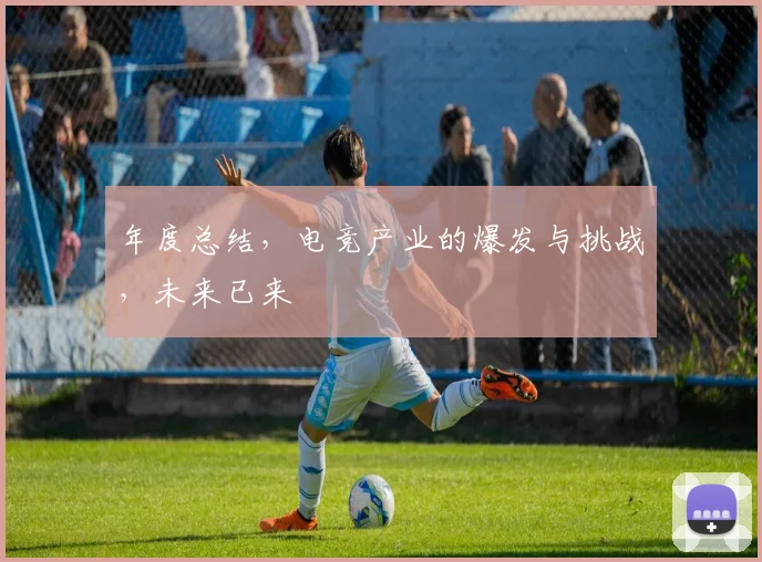 年度总结，电竞产业的爆发与挑战，未来已来